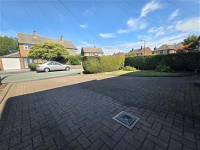 Picture 20